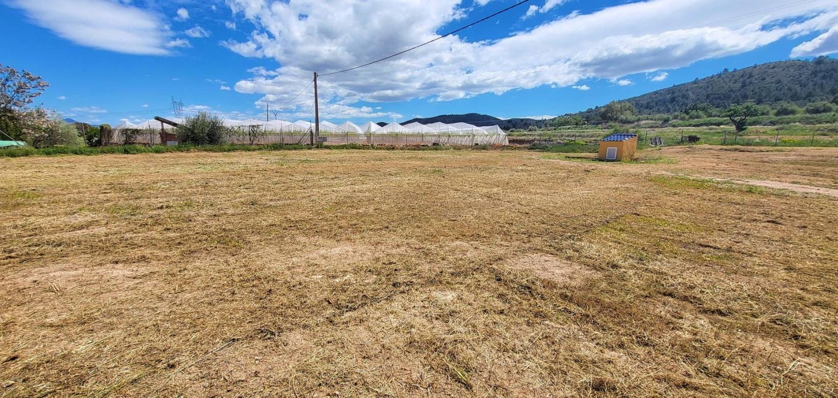 Resale - Villa - La Romana