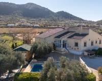 Resale - Villa - La Zarza