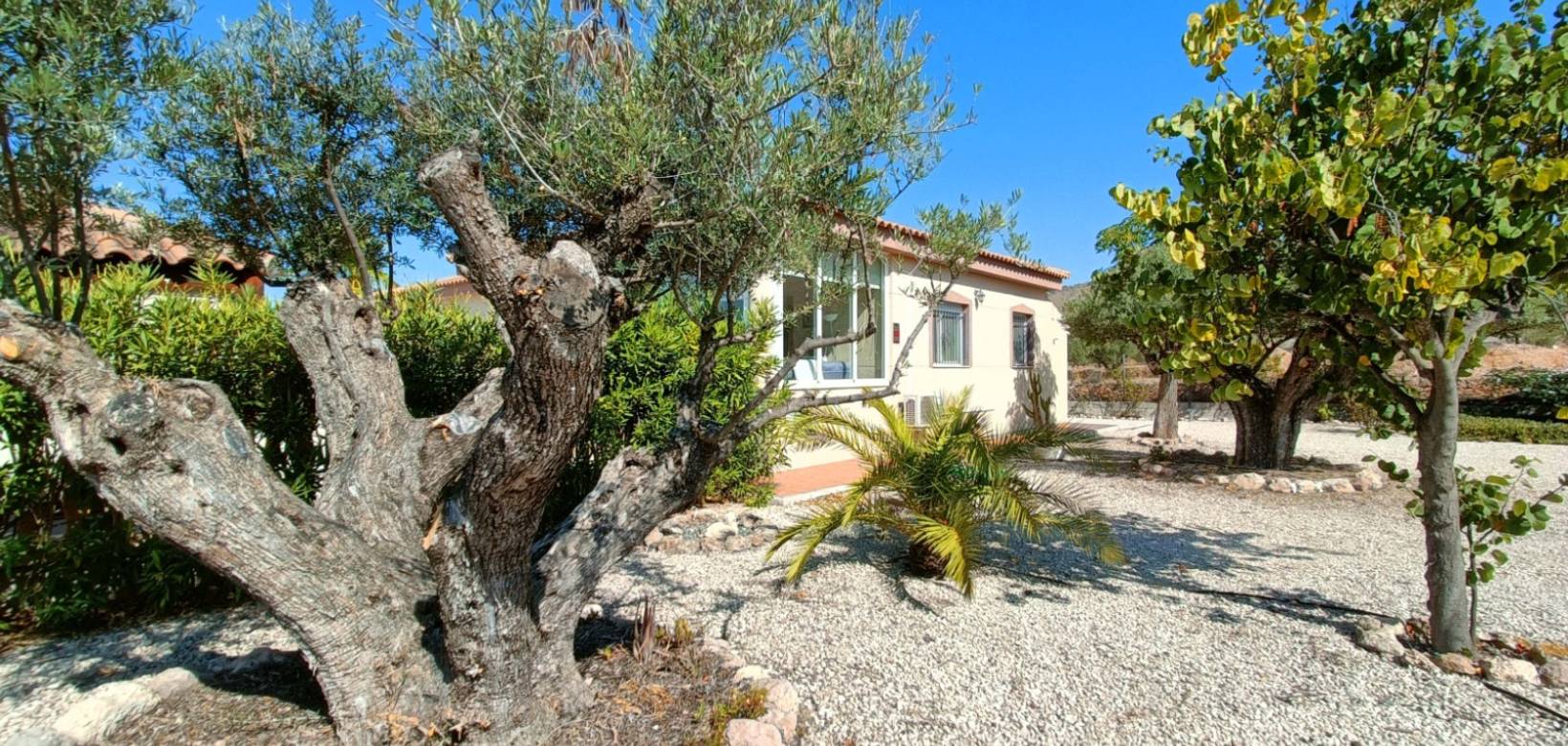 Resale - Villa - Macisvenda