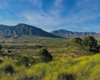 Resale - Villa - Macisvenda