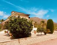 Resale - Villa - Macisvenda