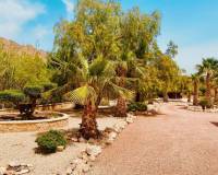Resale - Villa - Macisvenda
