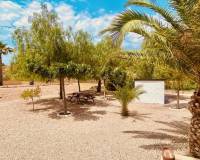 Resale - Villa - Macisvenda