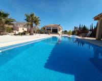 Resale - Villa - Macisvenda