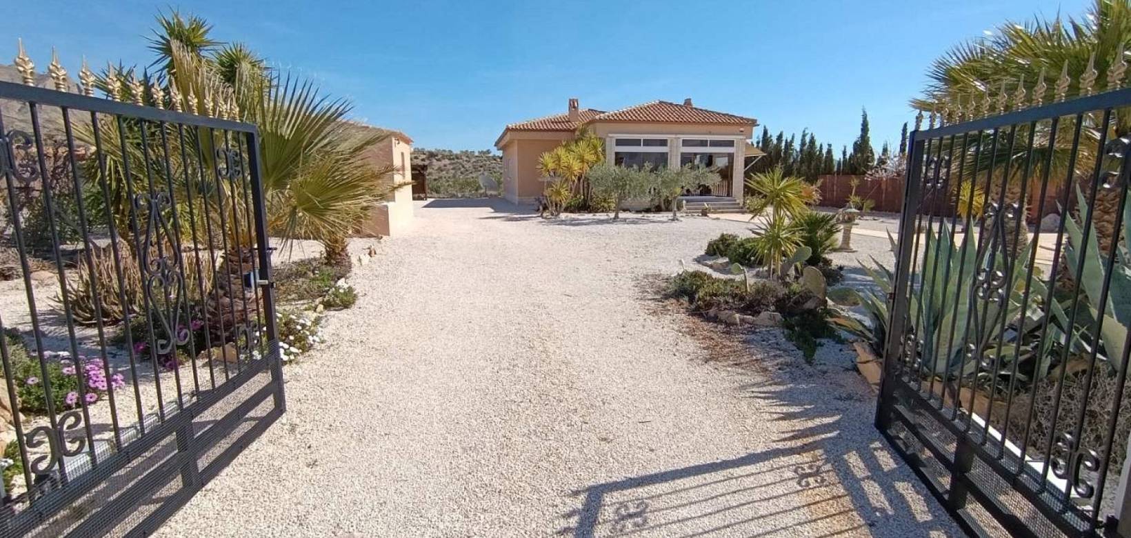 Resale - Villa - Macisvenda