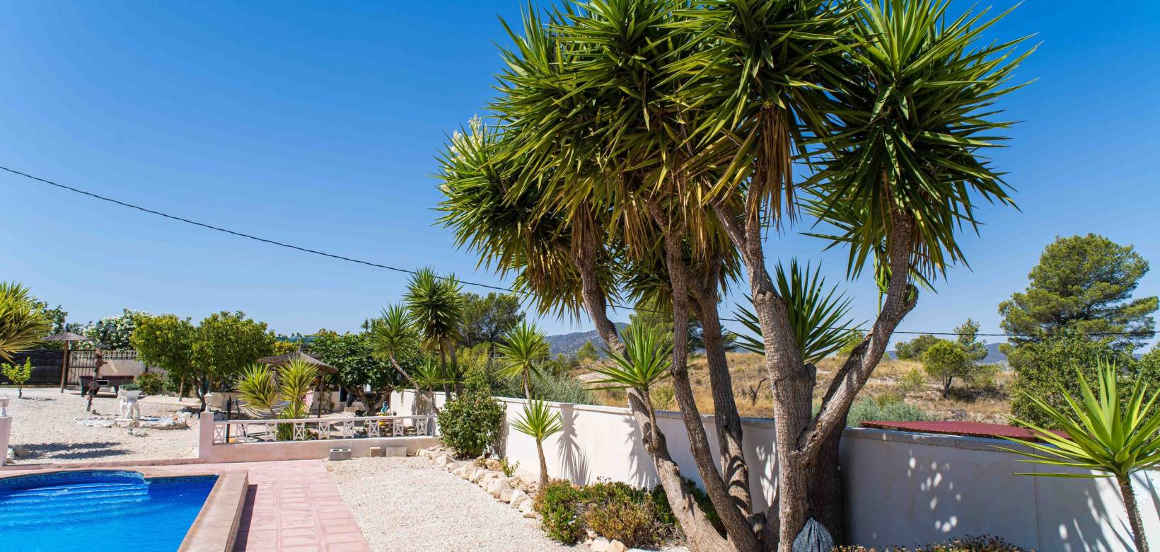 Resale - Villa - Pinoso - El Manyar