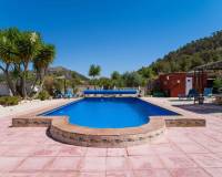Resale - Villa - Pinoso - El Manyar