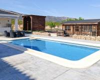 Resale - Villa - Pinoso - Lel