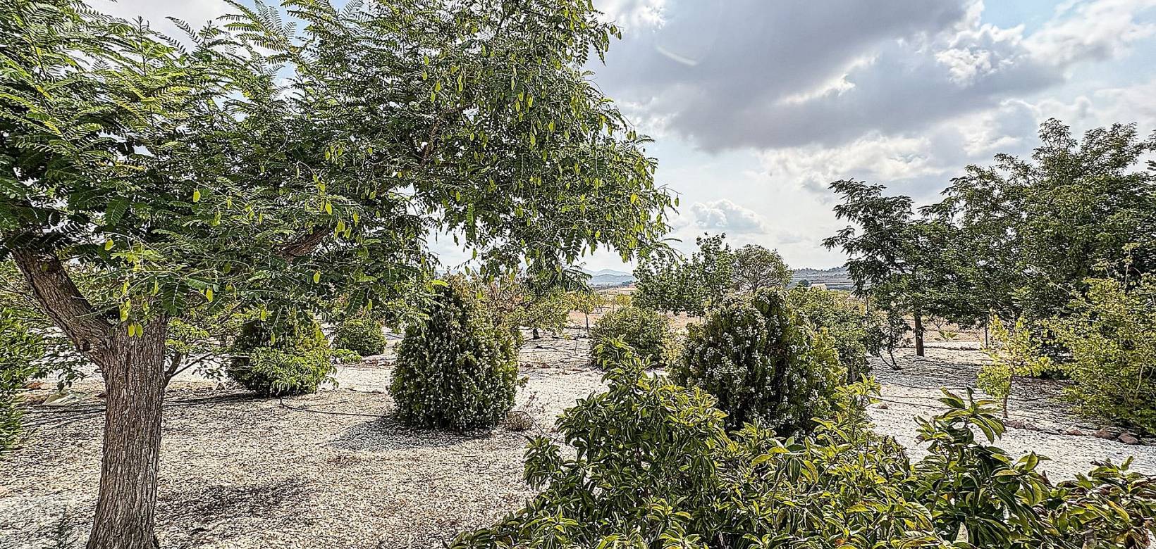 Resale - Villa - Pinoso