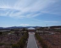 Resale - Villa - Pinoso