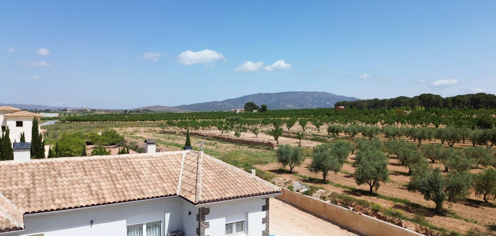 Resale - Villa - Pinoso