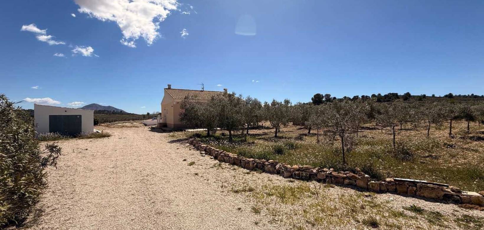 Resale - Villa - Pinoso