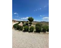 Resale - Villa - Pinoso