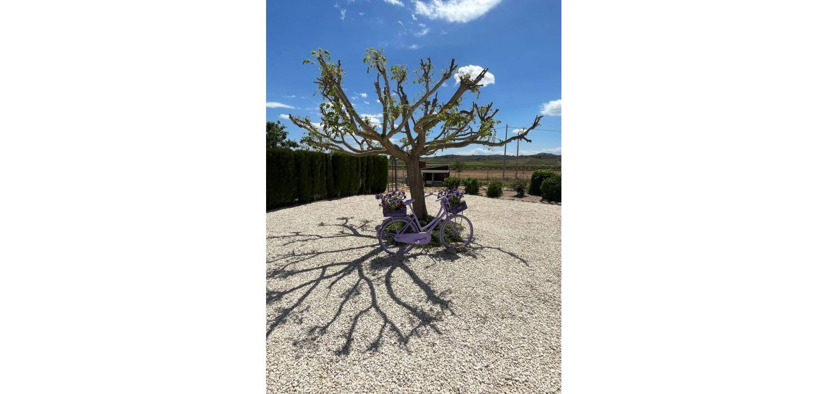 Resale - Villa - Pinoso