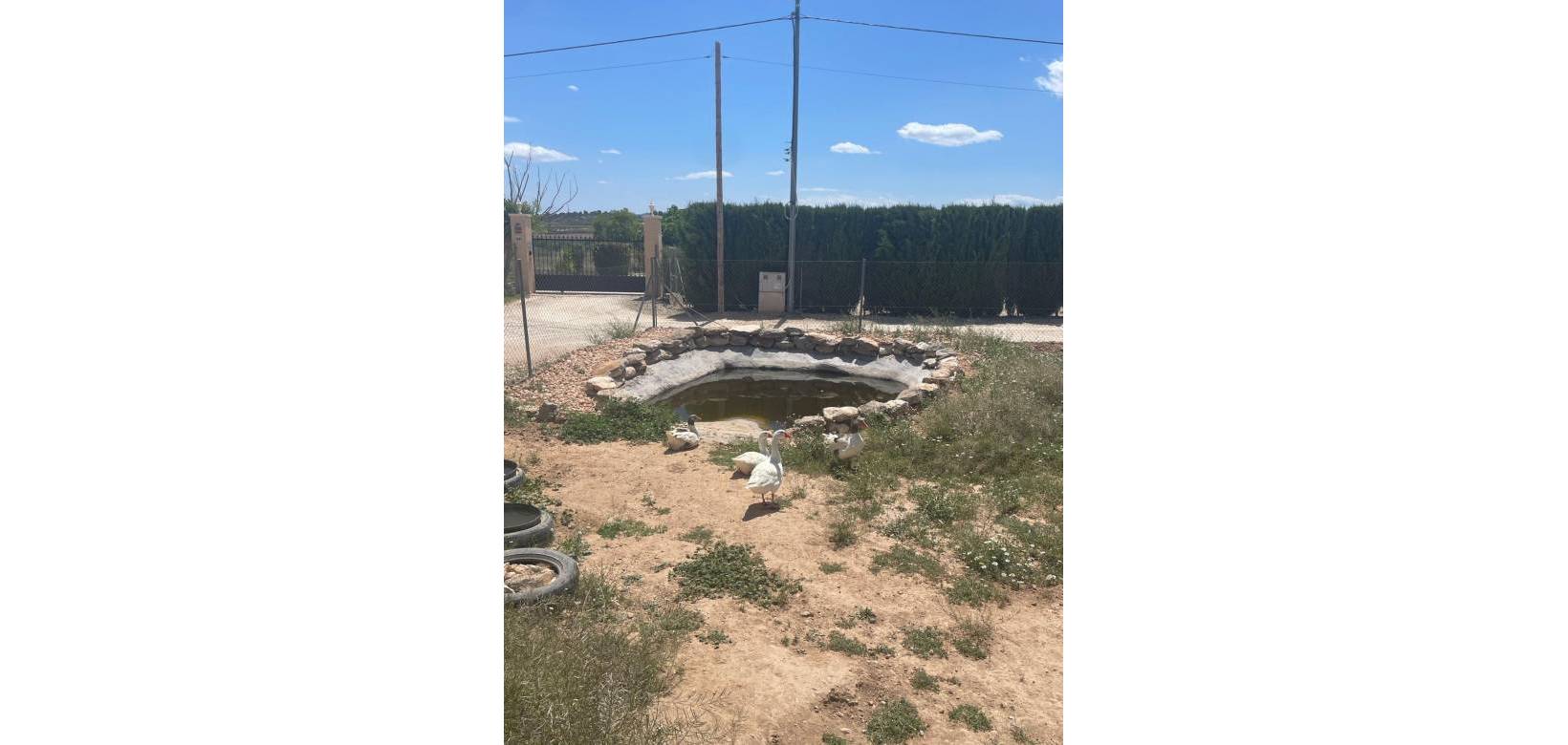 Resale - Villa - Pinoso