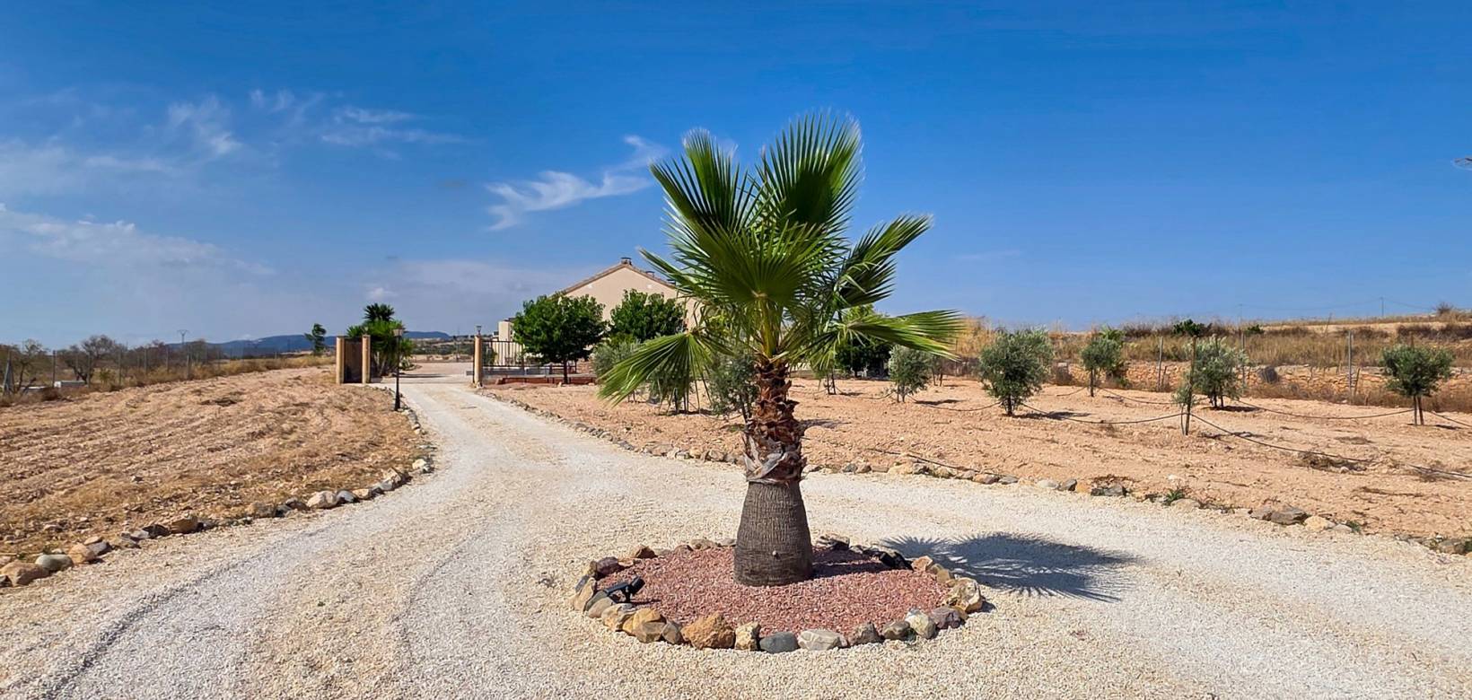 Resale - Villa - Pinoso