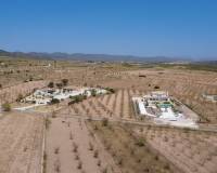 Resale - Villa - Pinoso