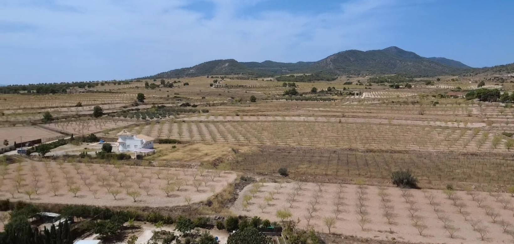 Resale - Villa - Pinoso