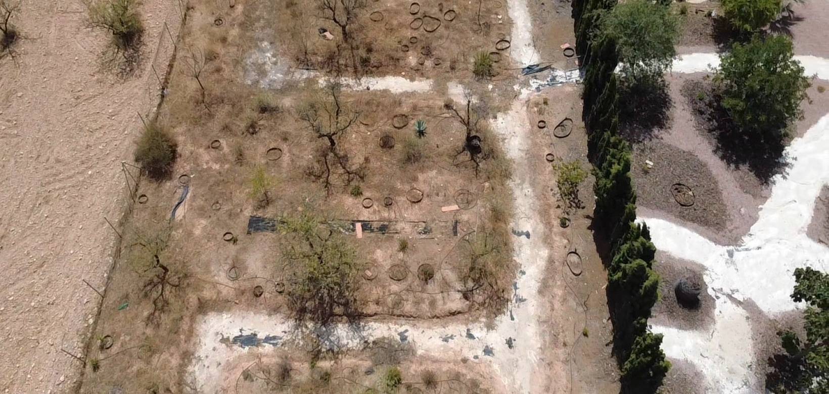 Resale - Villa - Pinoso