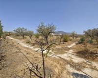 Resale - Villa - Pinoso