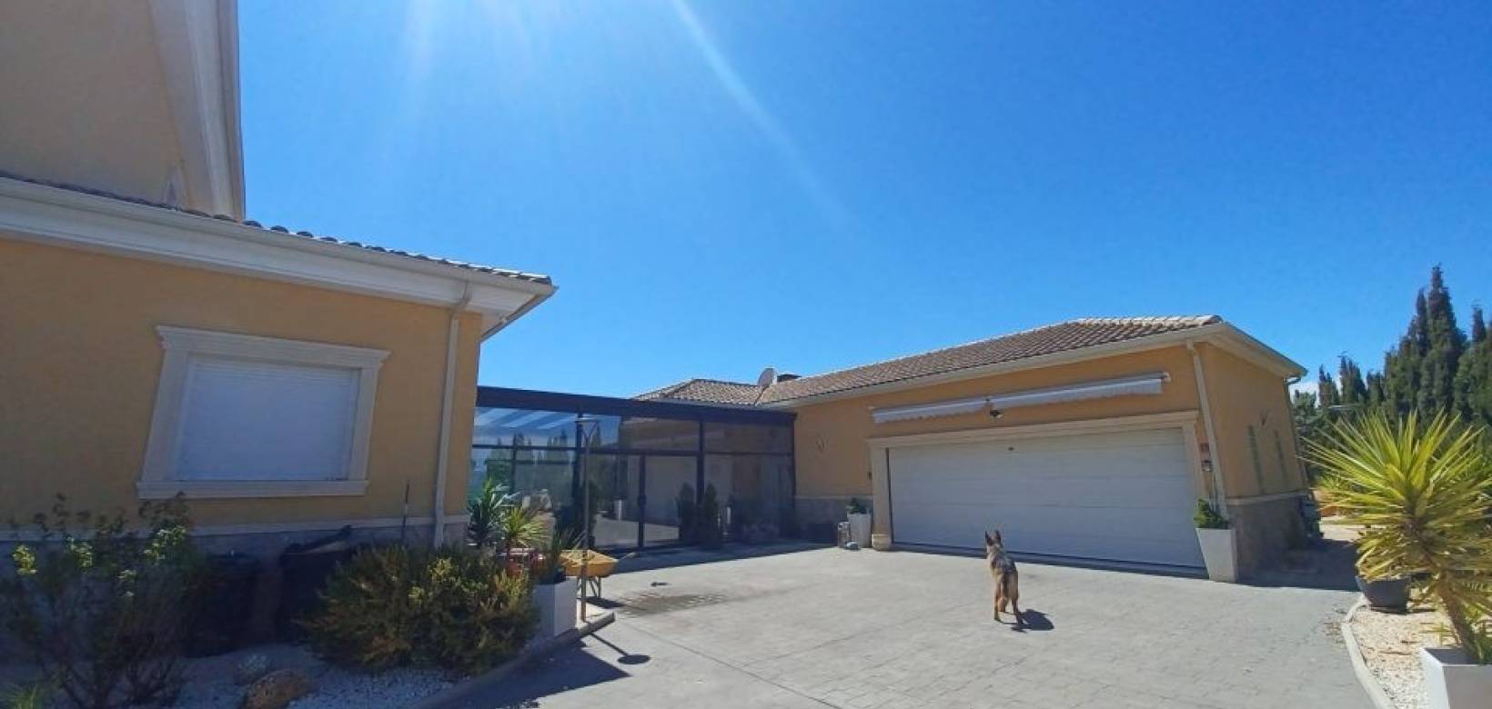 Resale - Villa - Pinoso