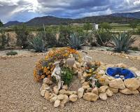 Resale - Villa - Salinas