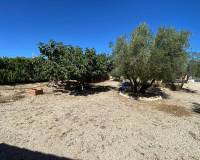 Resale - Villa - Salinas