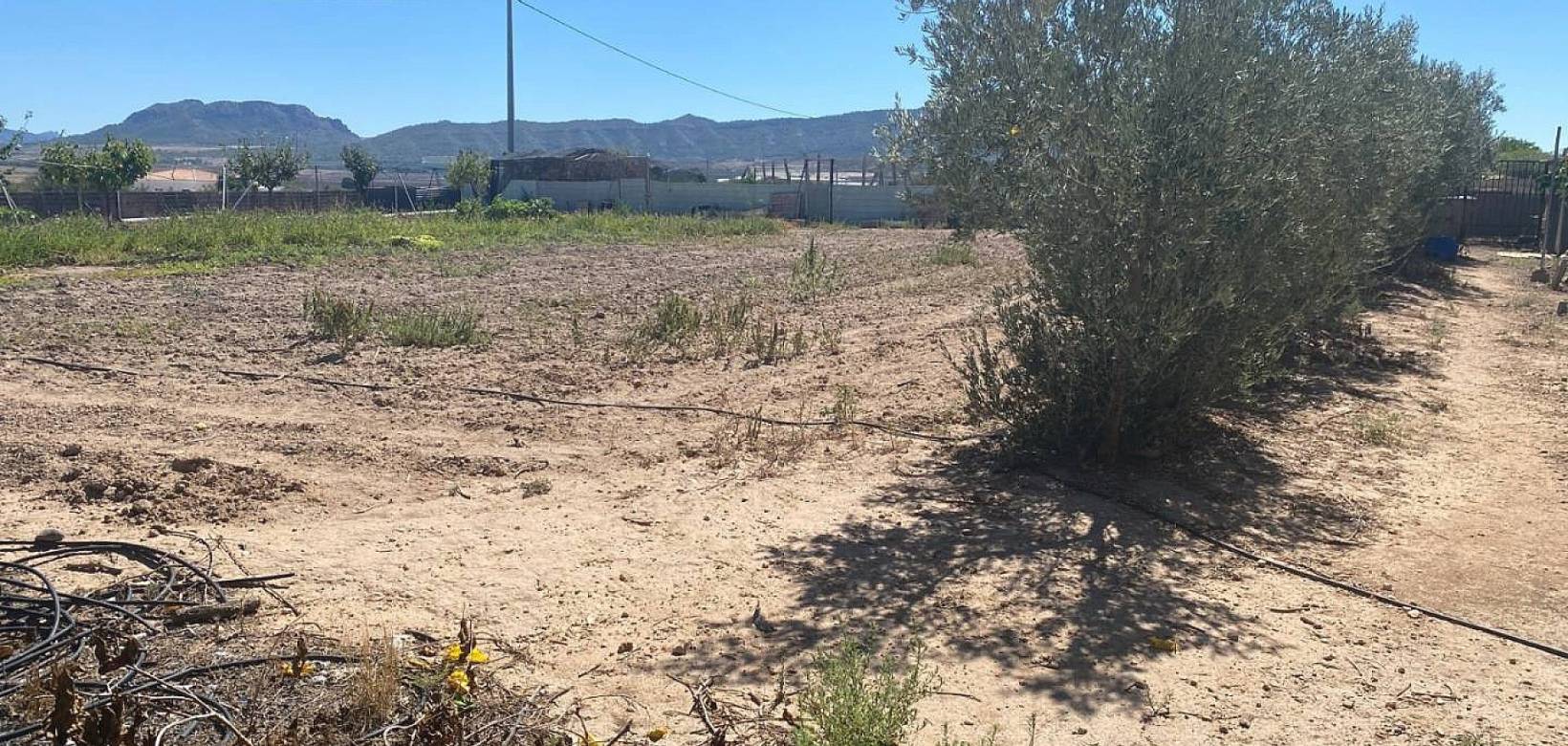 Resale - Villa - Salinas