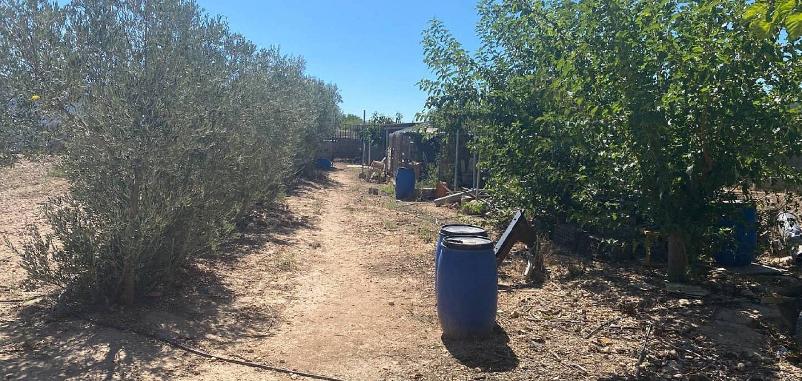 Resale - Villa - Salinas