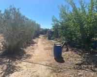 Resale - Villa - Salinas