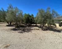 Resale - Villa - Salinas