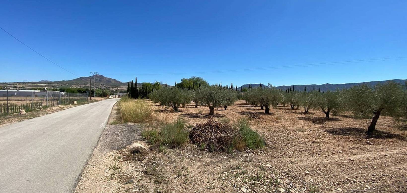 Resale - Villa - Salinas