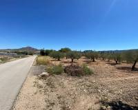 Resale - Villa - Salinas