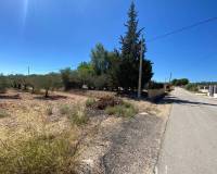 Resale - Villa - Salinas