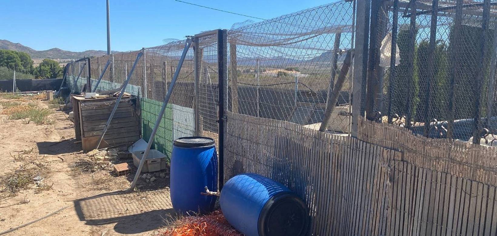 Resale - Villa - Salinas