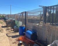 Resale - Villa - Salinas