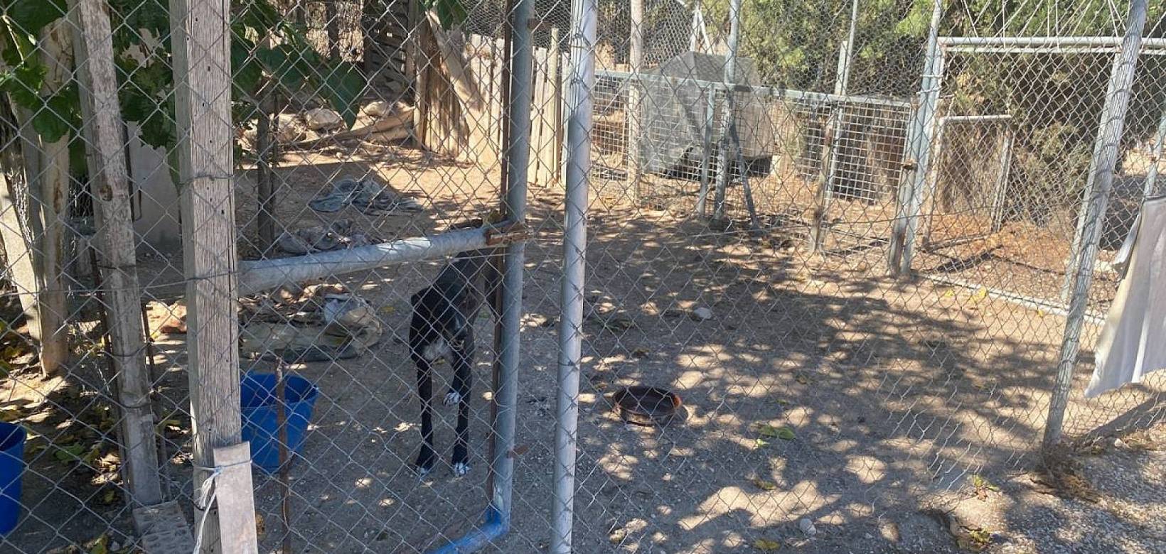 Resale - Villa - Salinas