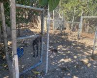 Resale - Villa - Salinas