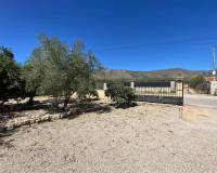 Resale - Villa - Salinas