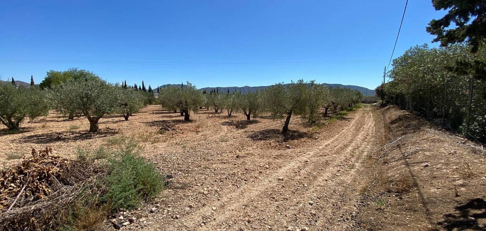 Resale - Villa - Salinas