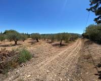 Resale - Villa - Salinas