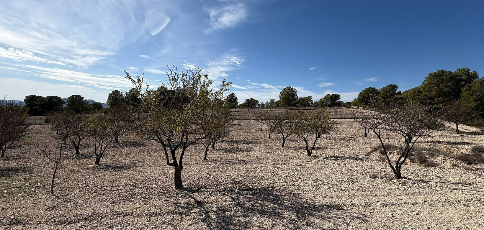 Resale - Villa - Sax