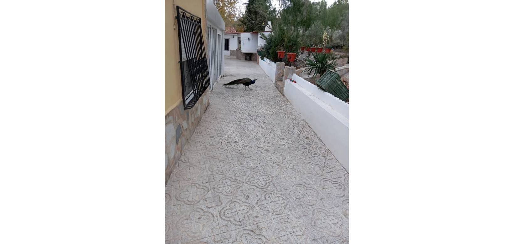Resale - Villa - Sax