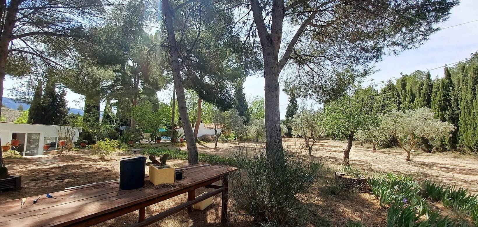 Resale - Villa - Sax