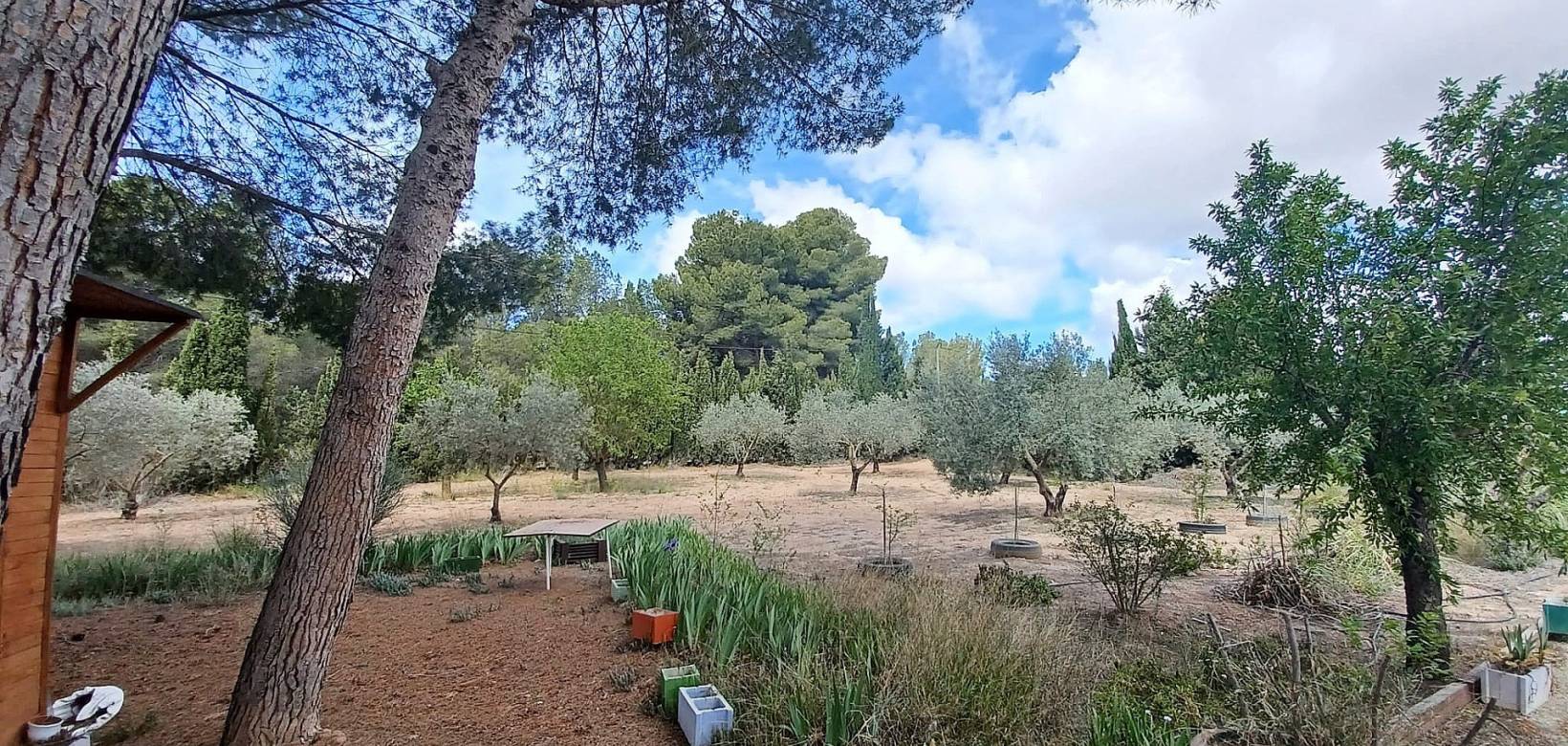 Resale - Villa - Sax