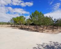 Resale - Villa - Yecla