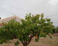 Resale - Villa - Yecla