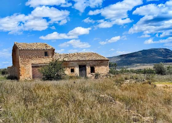 Restoration project - Resale - Pinoso - Pinoso