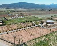 Revente - 5. Finca / Country Property - Pinoso  - Pinoso