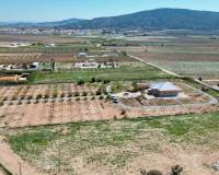 Revente - 5. Finca / Country Property - Pinoso  - Pinoso